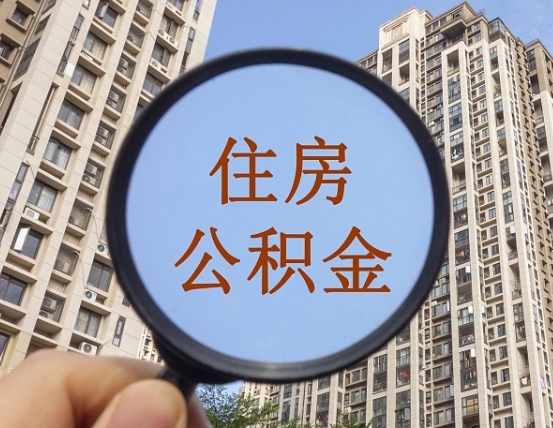 贵港退休后查不到公积金明细了吗（退休后公积金查询不到原因）